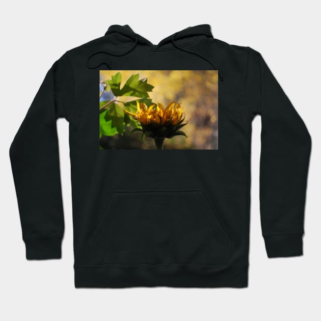 Sunflower Hoodie by AbstractIdeas